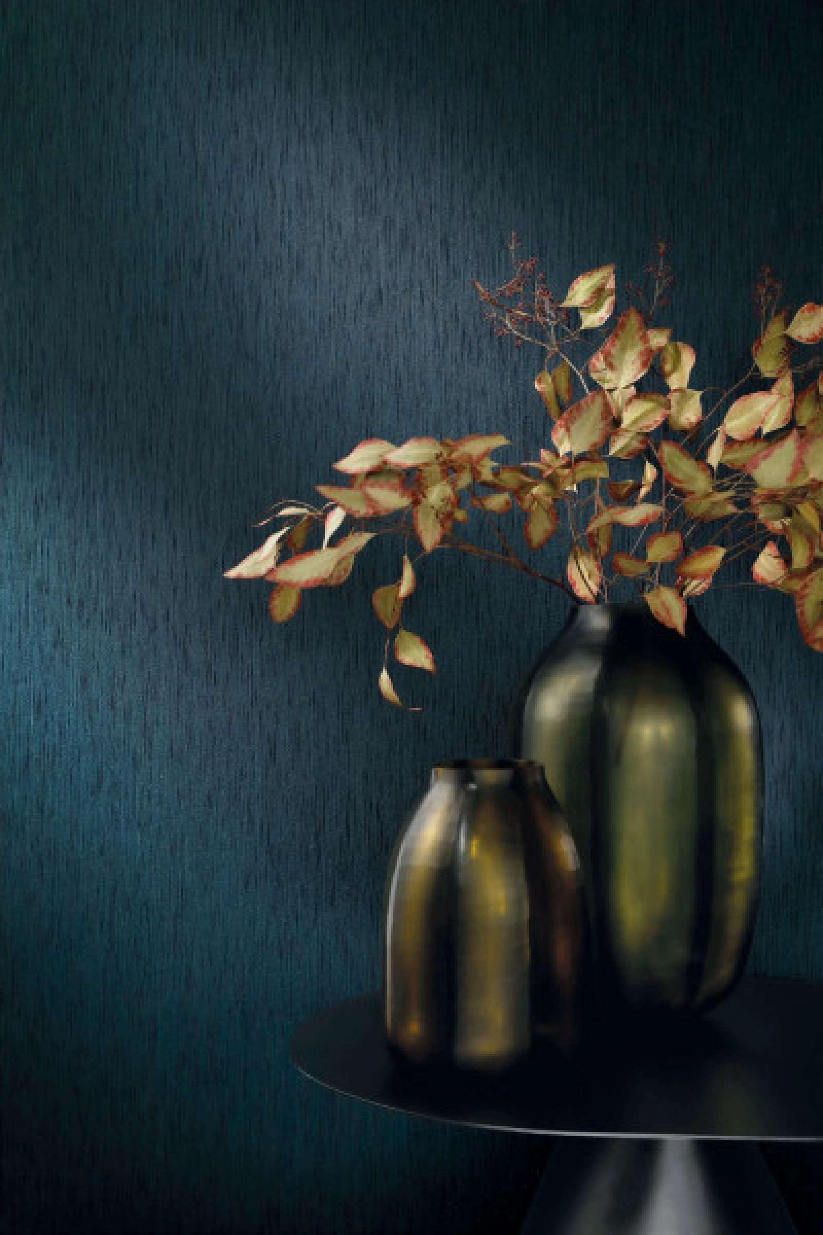 Casamance Bagatelle Jussieu